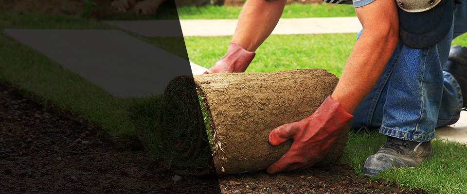 Vine Grove Landscapers